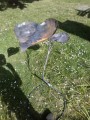 Sally Avery - 2 day blacksmith course - Bird Bath 2 of 2